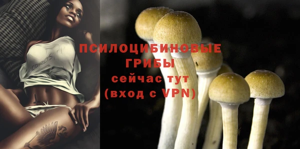 MESCALINE Каменногорск