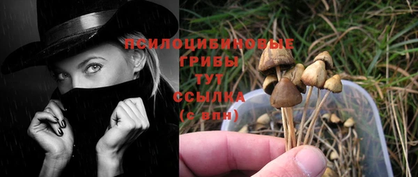 MESCALINE Каменногорск