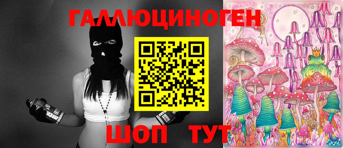 Галлюциногенные грибы Psilocybine cubensis Россия